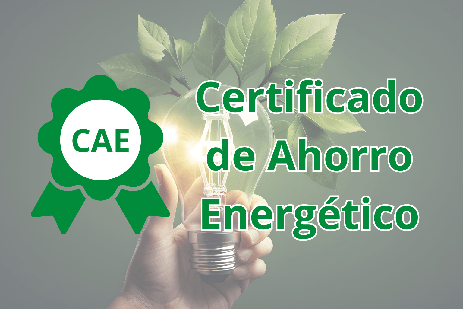 Certificados de Ahorro Energético