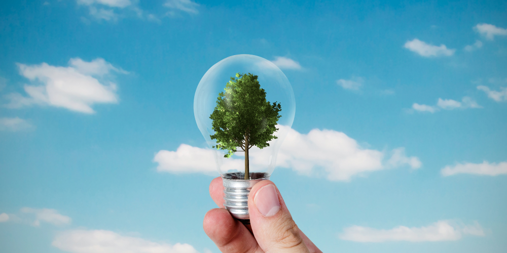 Certificados de Ahorro Energético